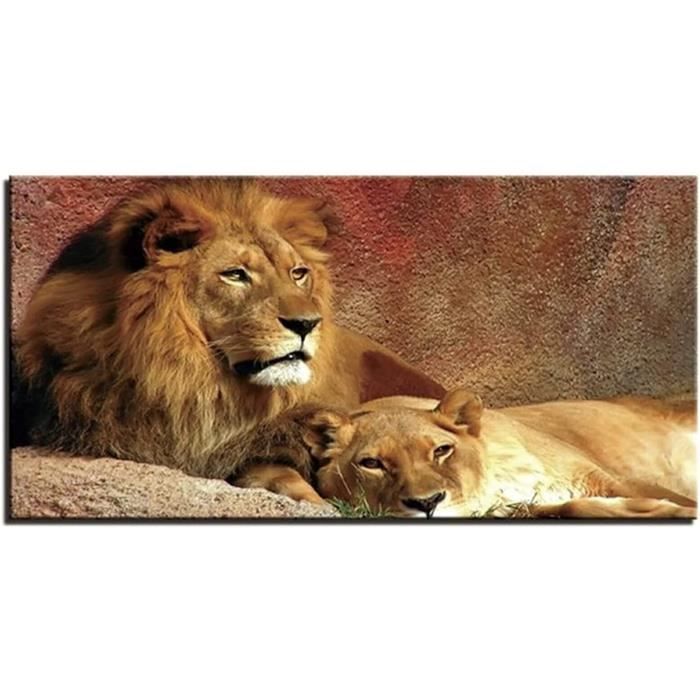 5D Peinture Diamant Adulte Animal Lion Diamond Painting Kit Complet, DIY Diamand Art Set Strass Point de Croix Peinture Diamant, Puzzle Stitch Broderie Diamant pour Murale Décoration 55x110cm Y412 5D Peinture Diamant Adulte Animal Lion Diamond Painting Kit Complet, DIY Diamand Art Set Strass Point de Croix Peinture Diamant, Puzzle Stitch Broderie Diamant pour Murale Décoration 55x110cm Y412