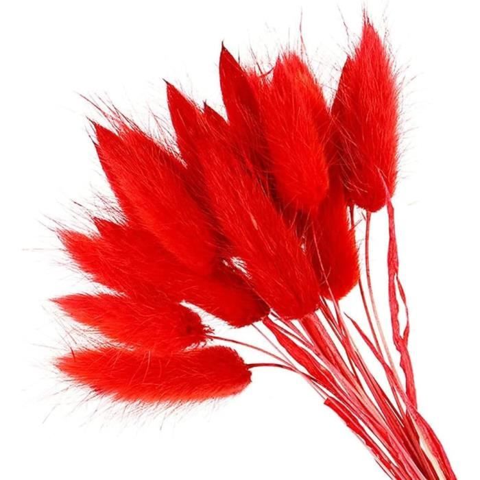 60 Fleurs Séchées Lagurus (queue De Lapin) Noir - Longueur 43 Cm - Décoration Automne, Bouquets, Couronnes - Naturel Et Flexible