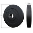 Paire de disques en plastique de 10 KG (2 x 10 KG) - 50-51 mm-1