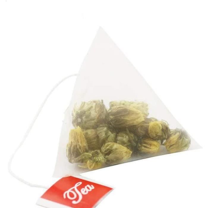 100 Pcs Pyramide Sachet De Thé Filtre En Nylon Sachet De Thé Unique Corde Étiquette Transparent