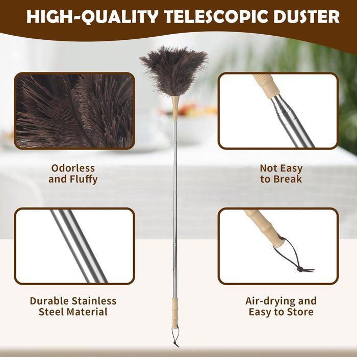 Westmark Plumeau - plumeau Extensible avec Manche télescopique, Long pour Toiles d'araignées Westmark Plumeau - plumeau Extensible avec Manche télescopique, Long pour Toiles d'araignées