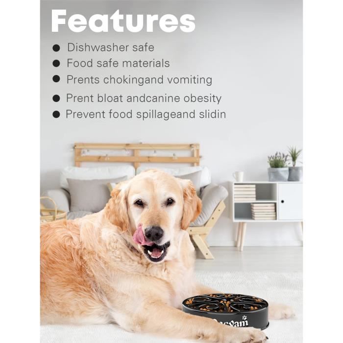 Gamelle Anti-glouton Chien – Silicone Alimentaire – Labyrinthe Ralentisseur – Antidérapante – Gris