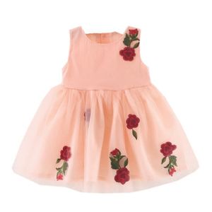 Robe Tutu Bebe Cdiscount