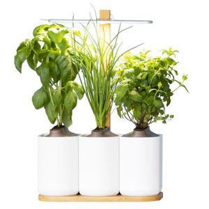 Culture Indoor Achat Vente Equipement Culture Indoor Pas Cher