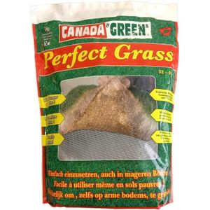 GAZON NATUREL PERFECT GRASS CANADA GREEN - Semances de gazon - P
