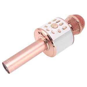 MICRO - KARAOKÉ ENFANT VINGVO Microphone Bluetooth sans Fil pour Karaoke 