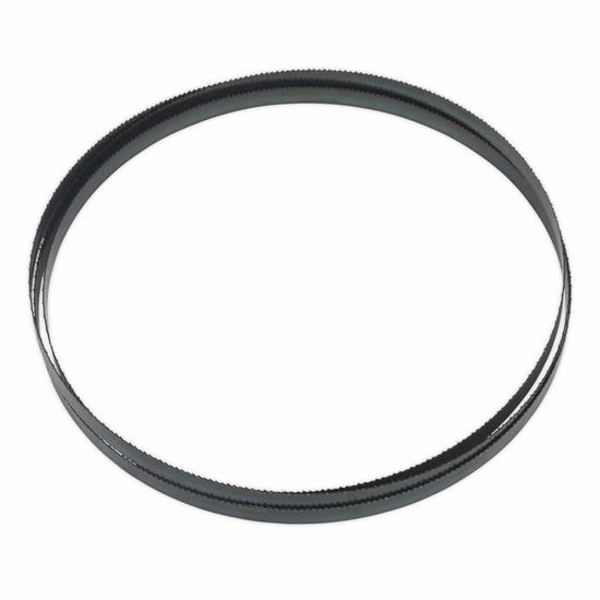 Lames De Scie à Ruban AYAO - Lot De 2, 1425 Mm X 3,2 Mm, 10 TPI - Pour Bois Et Plastique Lame 10 TPI Bois Plastique Lames De Scie à Ruban AYAO - Lot De 2, 1425 Mm X 3,2 Mm, 10 TPI - Pour Bois Et Plastique Lame 10 TPI Bois Plastique