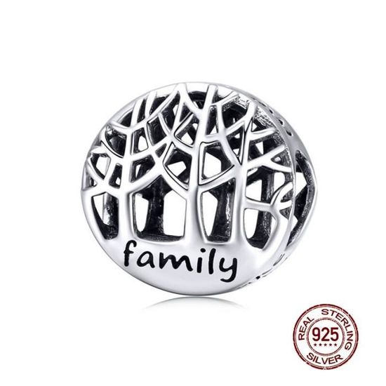 Charms Et Perles En Argent Sterling 925 - Breloques Pendentifs Pour Bracelets Et Colliers Européens