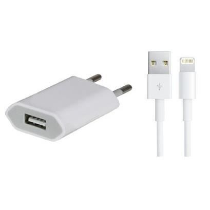 Chargeur Secteur et Cable USB pour iPhone 5S