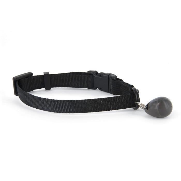 PetSafe - Clé pour Chatière Magnétique avec Collier - Clef, Clé de Rechange Supplémentaire pour Chats, Chattons