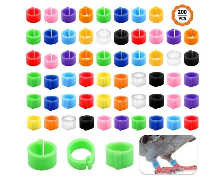 Kit Stabilizzatori Per Arco Compound - Pesi Regolabili Per Migliorare Precisione E Ridurre Vibrazioni