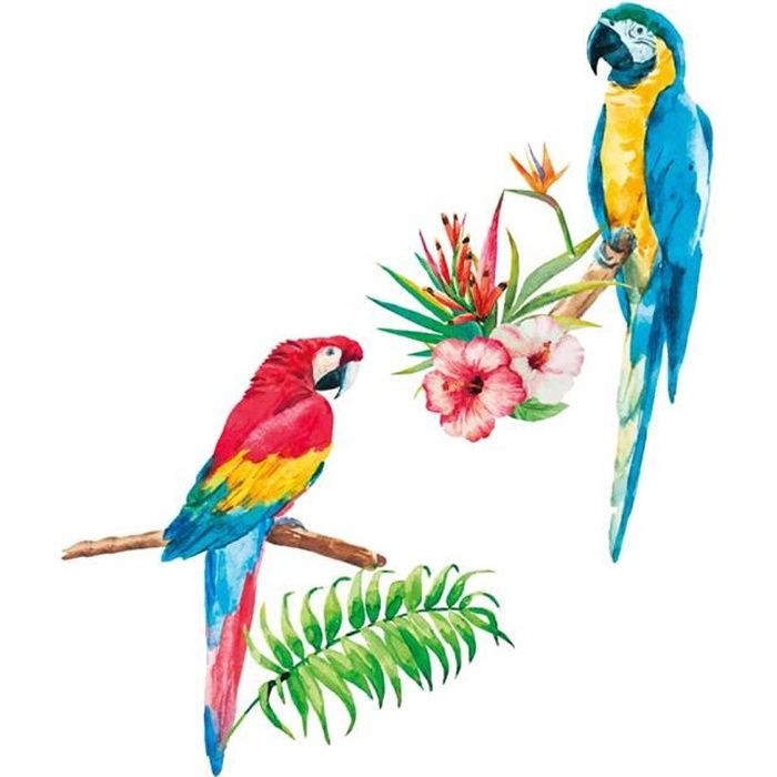 Toucan Perroquet Oiseau Mural Sticker Autocollant c0174