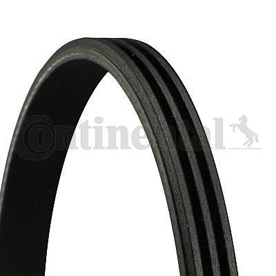 Contitech 6PK1145 COURROIE STRIEE