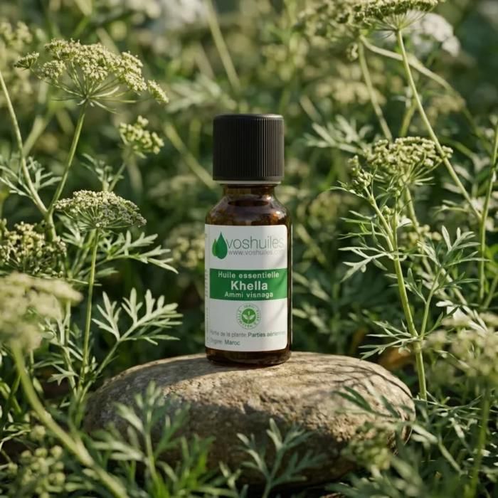 Huile Essentielle de Khella Conditionnement 5ml