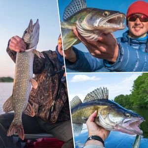 Ensemble Outils De Pêche - Lanceur D'Appâts Et Support | Matériel Pour Pêche Au Feeder | Portable, Bleu - 6