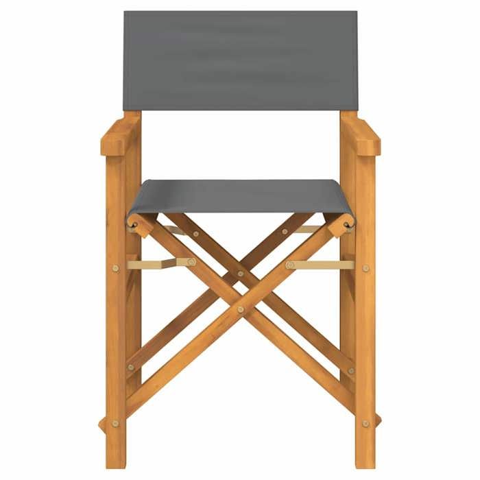 Chaises de metteur en scène pliantes - vidaXL - Lot de 2 - Bois teck ...