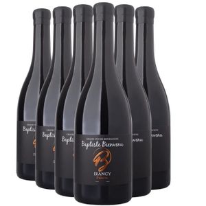 VIN ROUGE Irancy Palotte Rouge 2021 - Lot de 6x75cl - Baptiste Bienvenu - Vin AOC Rouge de Bourgogne - Cépage Pinot Noir