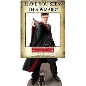 CADRE PHOTO Cadre à selfie en carton Doré Harry Potter, Le Pri