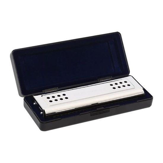 Harmonica 24 Trous En C (Do) - Pour Débutants Et Adultes - Étui Et Chiffon Inclus - Couleur Rose - Résine écologique, Cuivre, Acier Inox