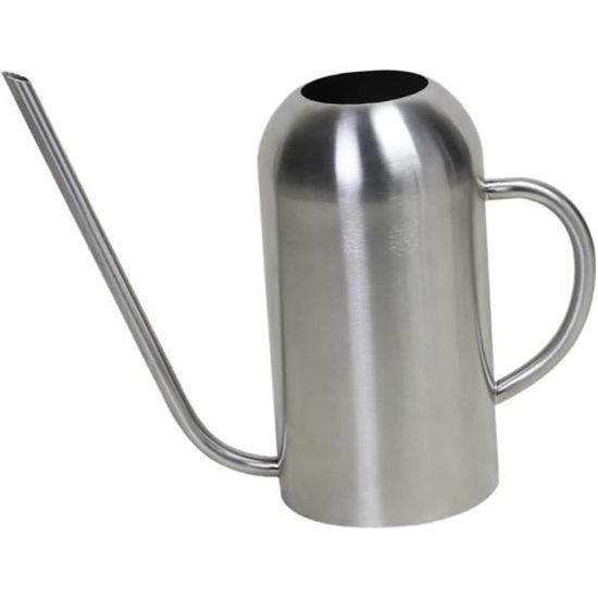 Arrosoir 1L Transparent à Long Bec Inox - Pour Plantes Intérieur Et Succulentes - Bec Amovible