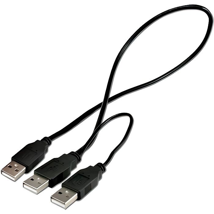 Connectland C-ALIM-USB-2XUSBA/M Câble d'Alimentation USB 2 vers 2 x USB A Mâle Noir