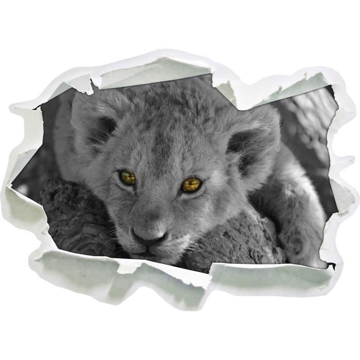 Couche Enfant Lion Taille D Autocollant Noir Blanc Mur 3d Papier 62x45 Cm Decoration Murale 3d Stickers Muraux Stickers Cdiscount Maison
