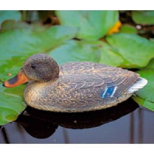 Canards De Décoration Pour Étang Et Jardin - Leurre En Plastique Réaliste Colvert (Héroïque)
