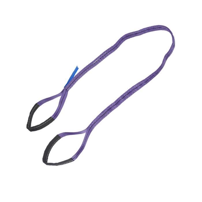 Élingue De Levage 1T - Polyester Résistant - 2m - Pour Grue/Palan - Couleur Violette