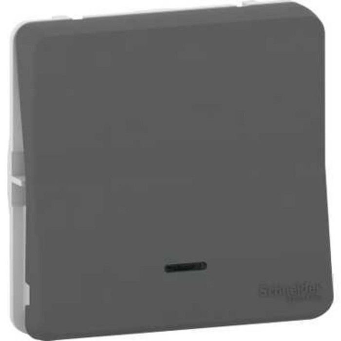Bouton Poussoir Porte-Étiquette Schneider Mureva Styl MUR34029 - IP55 IK08 Gris