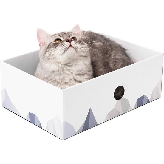 Boîte à gratter pour chat - griffoir pour chat ondulé portable avec  griffoir chats carton double face et conception de trou inte - Cdiscount  Animalerie