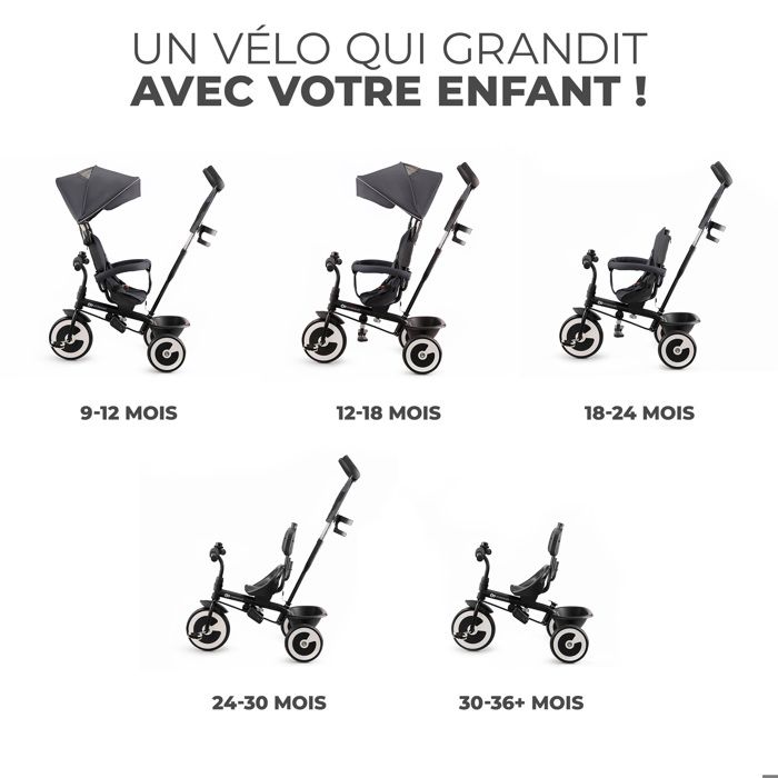 Homewell Tricycle Évolutif 2 En 1 – Poussette Et Draisienne – Avec Pare-Soleil Pliable – Pour 1 à 5 Ans – Rouge