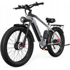 Vélo Électrique DUOTTS F26 2000W Moteurs Doubles Batterie LG 20Ah 100km 26*4.0 Gros Pneu Escalade à 55 Degrés-Gris