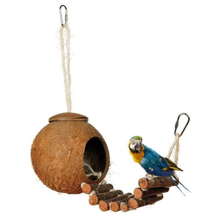 Oiseaux naturels de perroquet de nid de noix de coco de l'oiseau 10-20CM accrochant la maison d'oscillation avec l'échelle
