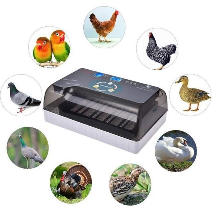 Comparer les prix de Incubateur Oeufs Couveuse Oeuf Automatique pour volaille caille oie Canard Pigeon Reptile avec Manuel en Franais COUVEUSE