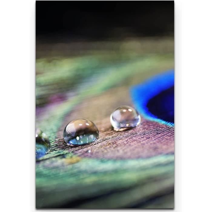 Canvas foto als panorama ZWART/WIT 120x40cm veren abstract close-up