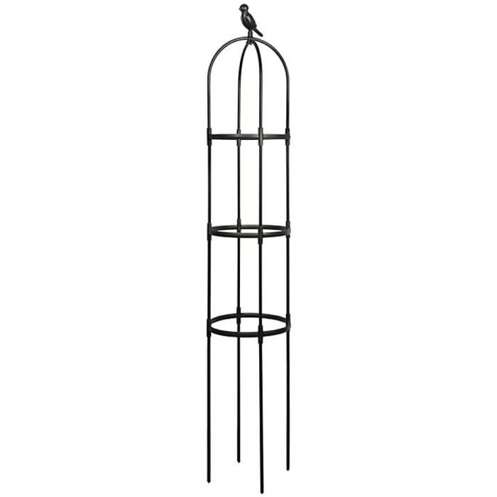 Jardin Obelisk Trellis pour Plantes grimpantes, Treillage métallique