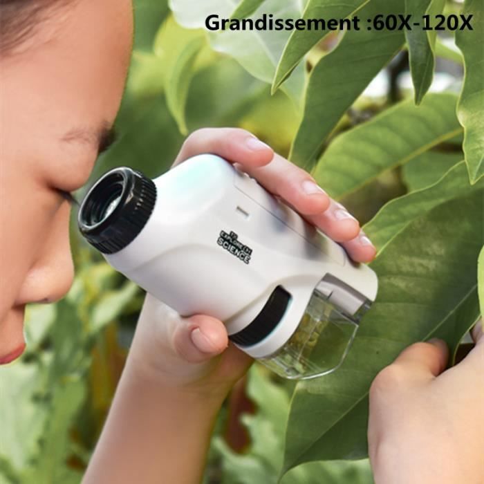 Microscope De Poche Portable Pour Enfants – 60X à 120X Grossissement – LED Intégrée – Compatible Smartphone