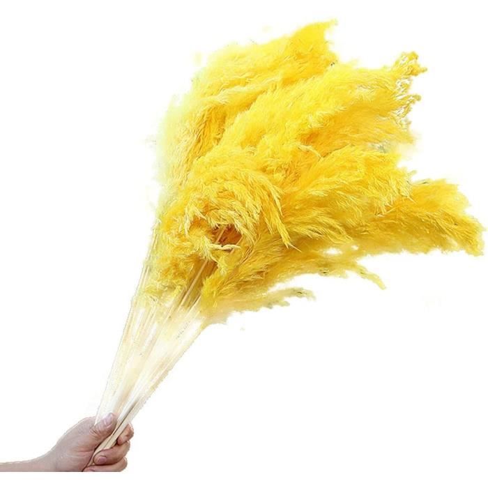 Lot Séché Naturel D'herbe De Pampa Sèche Pour La Décoration Intérieure