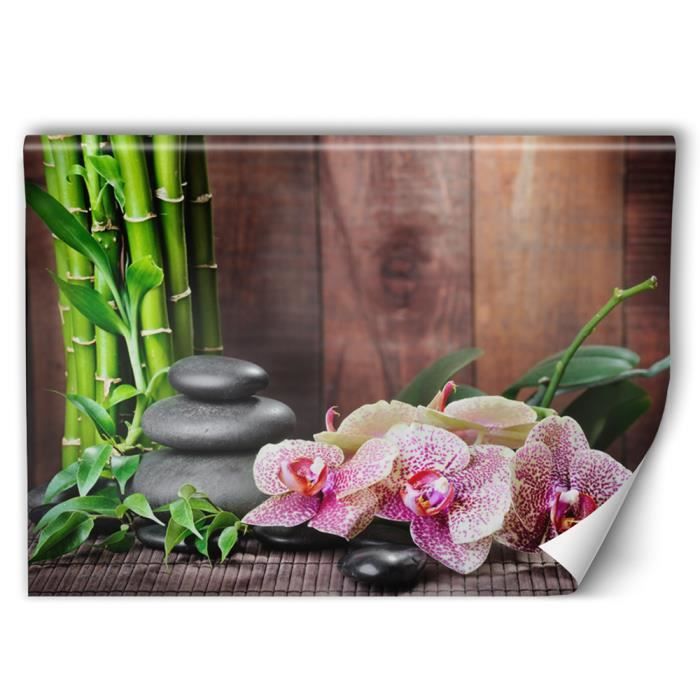 Feeby Poster Mural Xxl Zen Papier Intisse Colle Fournie Multicolore 200x134 Cm Cdiscount Bricolage