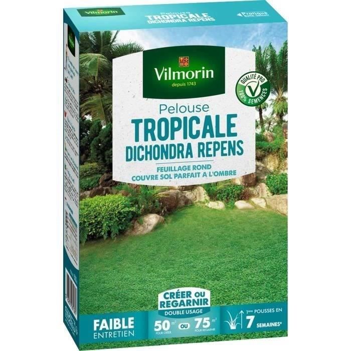 VILMORIN Semences de gazon bord de mer Les Tropicales Dichondra Repens - 500 g