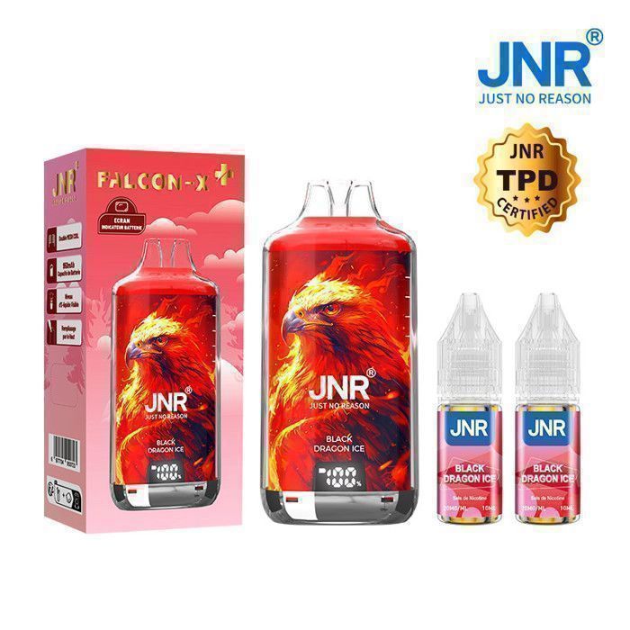 JNR - BLACK DRAGON ICE 28000 PUFFS + 2 Eliquide FALCON-X -Fruit du Dragon,  frais