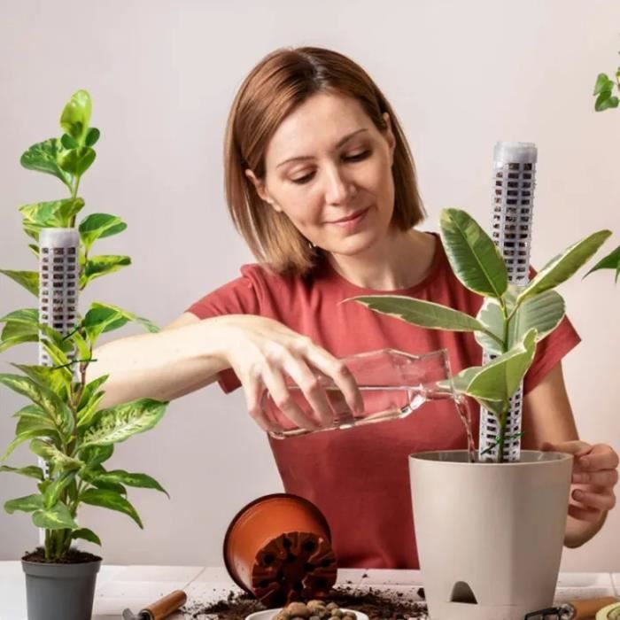zerotop Tuteur Plante, Plante Tuteur Coco Support pour Plantes