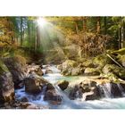 Puzzle 2000 pièces - CASTORLAND - Le ruisseau de la forêt - Marron - Pour enfants à partir de 15 ans