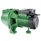 RIBILAND Pompe à eau de surface 970W