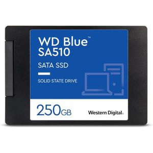 DISQUE DUR SSD Wd Blue Sa510 250 Go Sata 2,5