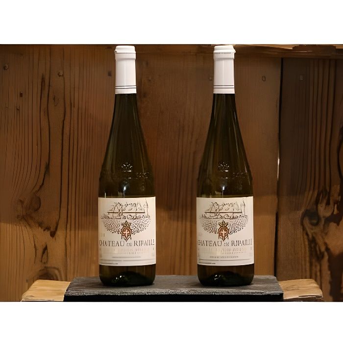 Chateau RIPAILLE