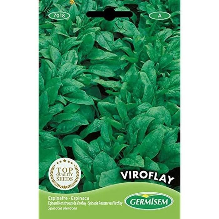 Graines épinard Monstrueux De Viroflay - 180 Graines, Grandes Feuilles Goûteuses, Parfait Pour Les Semis De Printemps Ou D’automne