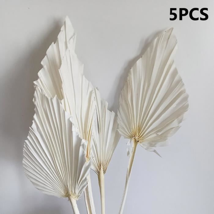 Lot 3 Feuilles De Palmier Séchées Dorées – Naturelles Boho Pour Décoration Maison & Mariage