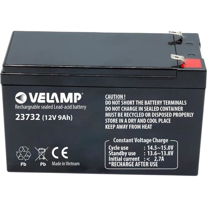 Batterie Rechargeable Plomb 6V 1.3Ah - Pour Alarme, UPS, Lampe - Noir - Garantie 2 Ans