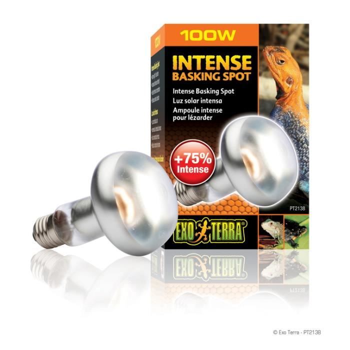 Lampe - EXO TERRA - Intense Baskingspot 100w - Blanc - Caméléon - Reptile